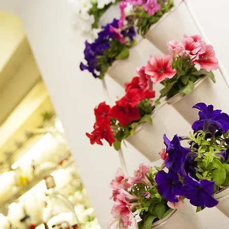 Il Gheppio Frühstückspension Ispica