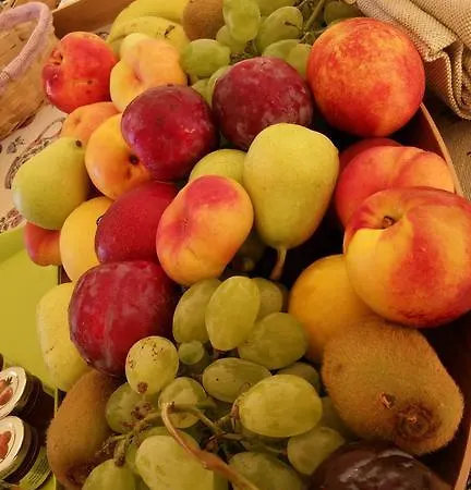 Bed & Breakfast Il Gheppio Ispica